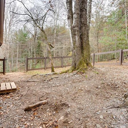 Peaceful Warne Cabin Fenced Yard And Screened Porch Brasstown Dış mekan fotoğraf