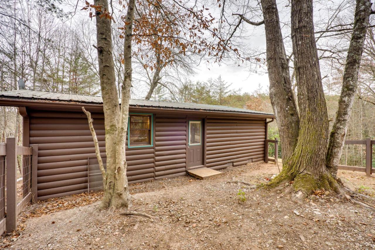Peaceful Warne Cabin Fenced Yard And Screened Porch Brasstown Dış mekan fotoğraf