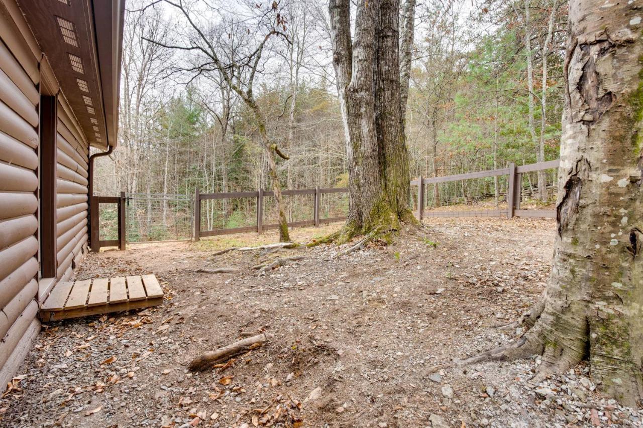 Peaceful Warne Cabin Fenced Yard And Screened Porch Brasstown Dış mekan fotoğraf